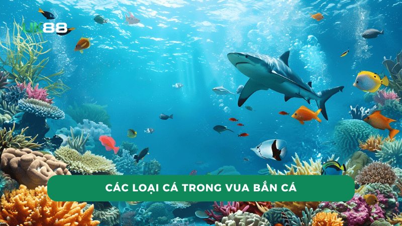 Đa dạng các loại cá trong game 