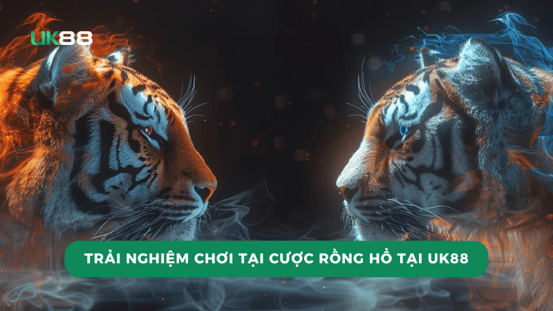 Kinh nghiệm chơi rồng hổ hiệu quả bao thắng tại UK88