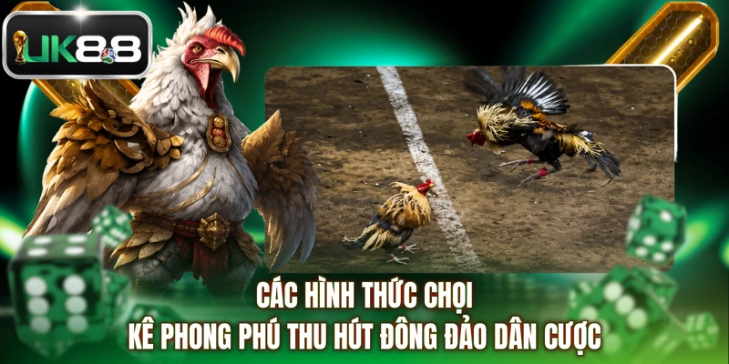 Các hình thức chọi kê phong phú thu hút đông đảo dân cược