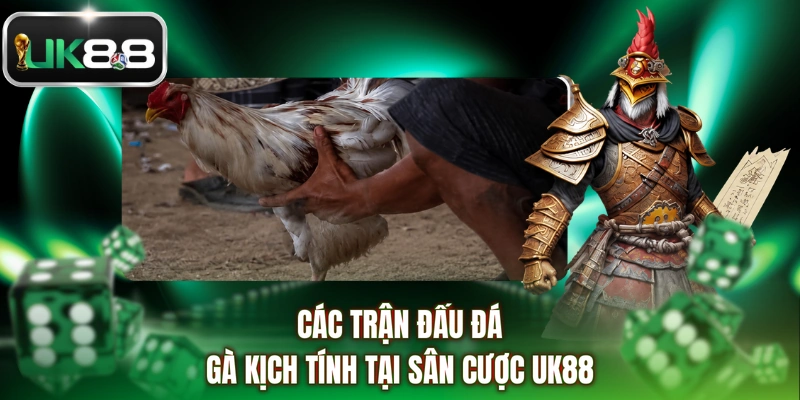 Các trận đấu đá gà kịch tính tại sân cược UK88