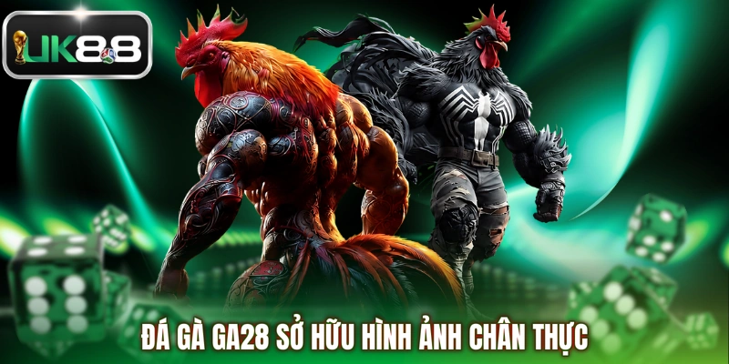 Đá gà GA28 sở hữu hình ảnh chân thực