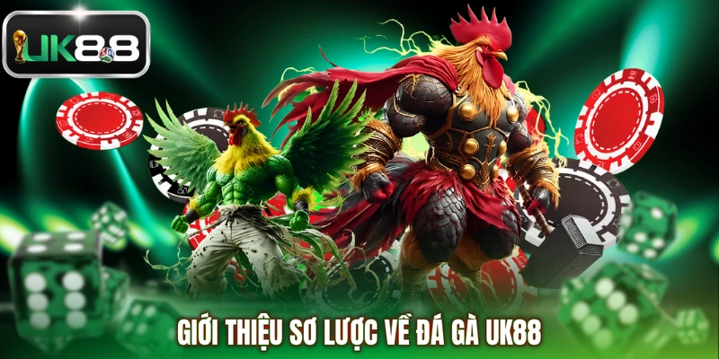 Giới thiệu sơ lược về đá gà UK88