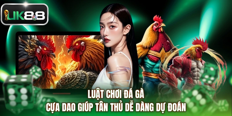 Luật chơi đá gà cựa dao giúp tân thủ dễ dàng dự đoán